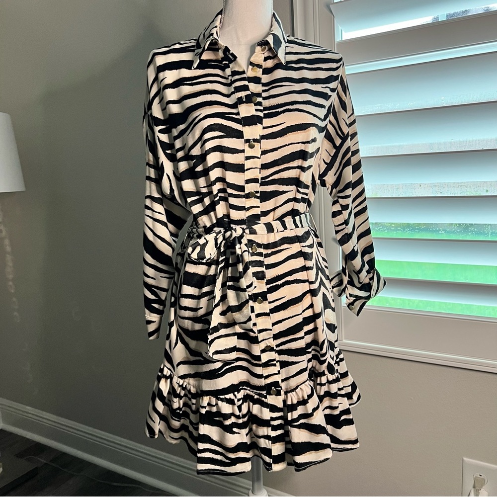 Zara zebra dress. S. Long sleeve, collar/button down ruffled. Gorgeous. Silky